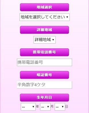 ハニートークオンライン登録各種情報入力