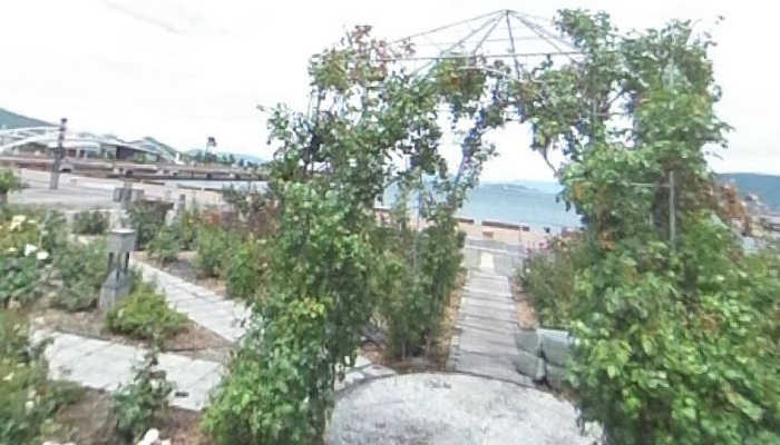 サンポートバラ園前